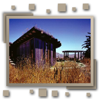 Nature-Friendly Architecture